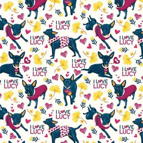 LUCY-pattern-SMALL