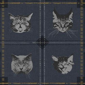 cats plaid