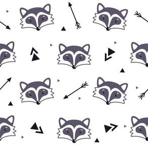 Racoons on white background