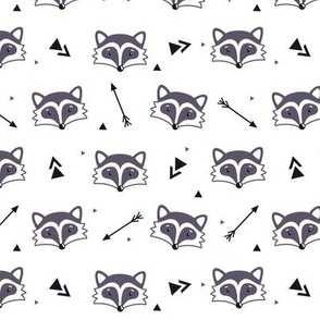 Racoons on white background. Small scale