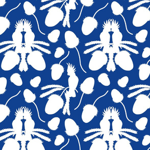 Aussie Love Birds & Banksias - white on ocean blue, medium 