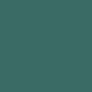 dark grayish green solid |  #3a6b64