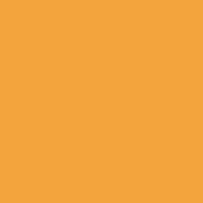 sunny orange solid | #F3A33B