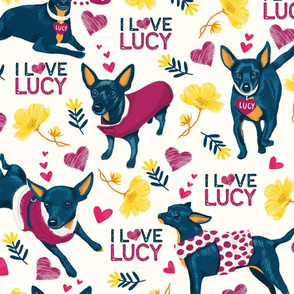 LUCY-pattern-LARGE