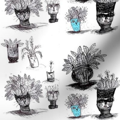 Plant Pots