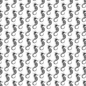 Classic Seahorse Pattern in Black & White (Mini Scale)