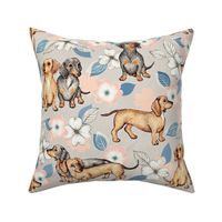 Dachshunds and dogwood blossoms - blush and blue, large