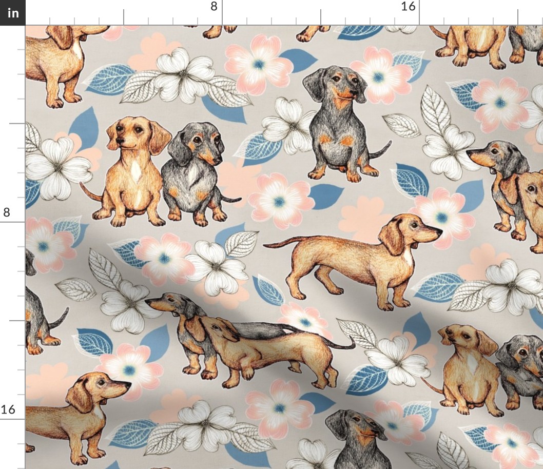 Dachshunds and dogwood blossoms - blush and blue, large