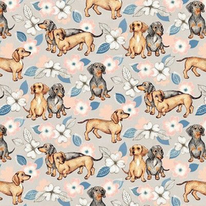 Dachshunds and dogwood blossoms - blush and blue, small