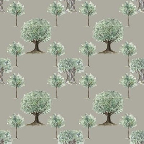 Olive Trees 3