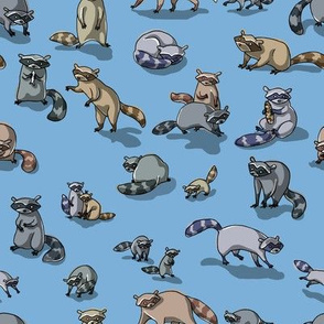 Raccoons on Blue