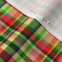 Madras Plaid in Christmas Red and Green