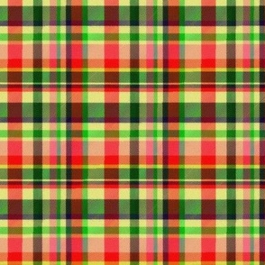 Madras Plaid in Christmas Red and Green