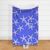 LARGE PERIWINKLE AND WHITE STARFISH