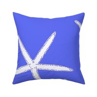 LARGE PERIWINKLE AND WHITE STARFISH