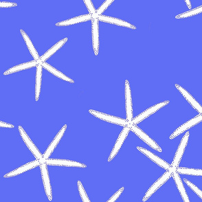 PERIWINKLE AND WHITE STARFISH