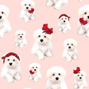 Cute Maltese puppy,bolonka dog pattern 