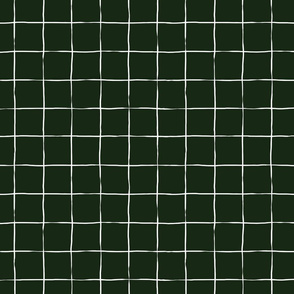 Graph Paper Grid - White on Dark Green