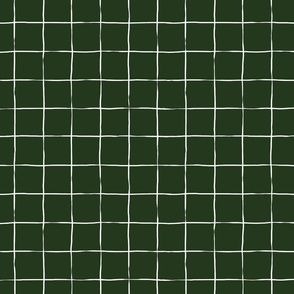 Graph Paper Grid - White on Green