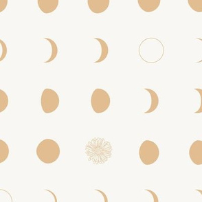 Moon Phases and Yellow Flower / Solar Eclipse