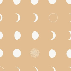 Moon Phases and White Flower / Solar Eclipse