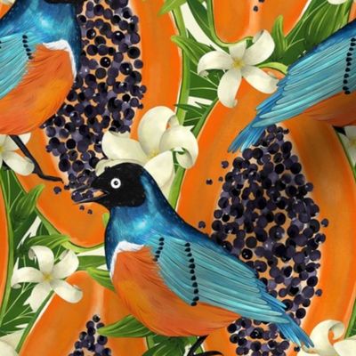 Papaya garden and blue birds. Vibrant orange