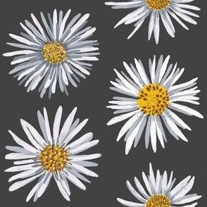 white asters on dark gray dense