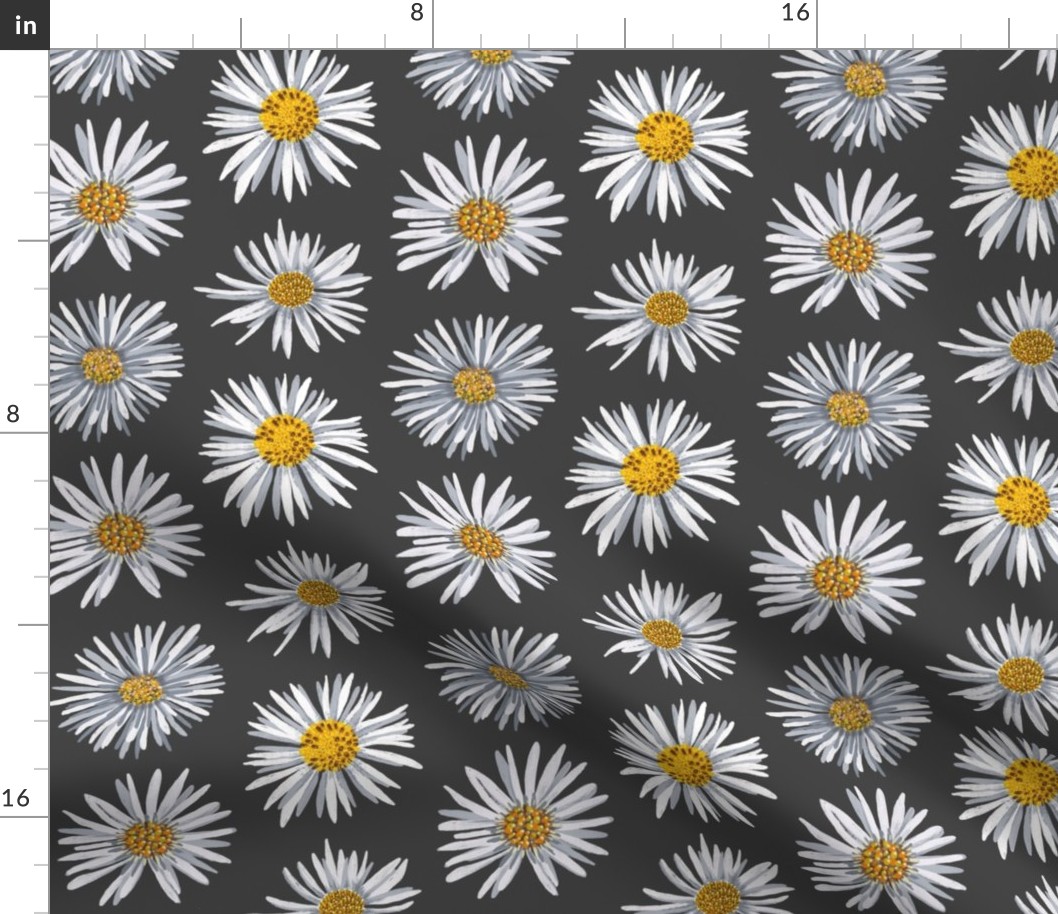 white asters on dark gray dense