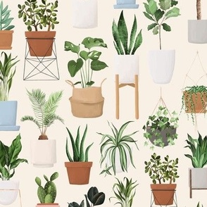 House Plants Light / Plant Lovers