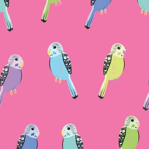 Parakeets (larger scale, dark pink background)