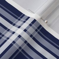 modern farmhouse plaid navy