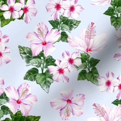 pinky flowers on a light blue background