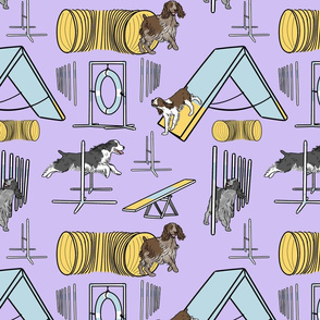 Simple English Springer Spaniel agility dogs - purple