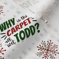Why is the carpet all wet TODD? - small