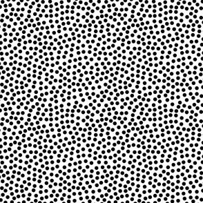 Random Black and White Polka Dots - Tiny