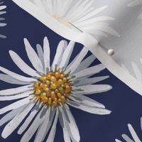 white asters on dark blue dense