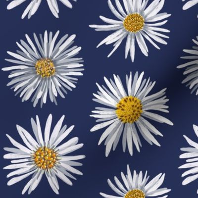 white asters on dark blue dense