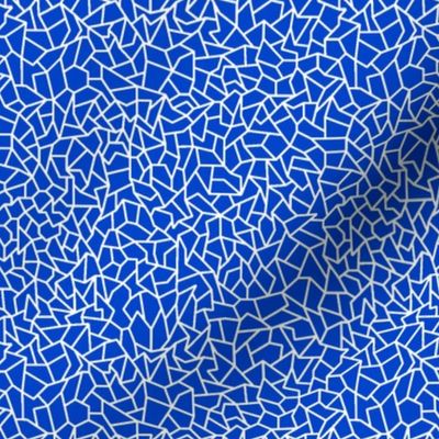 Mosaic-White on Blue