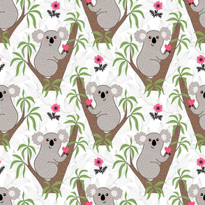 Cute koala on eucalyptus tree - white