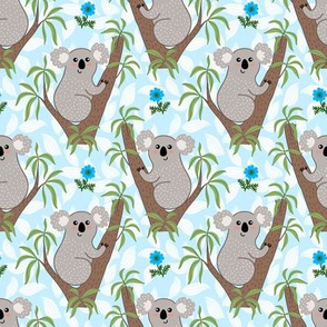 Cute koala on eucalyptus tree - blue