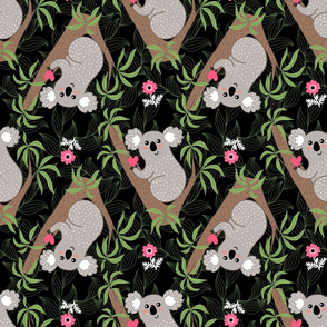 Cute koala on eucalyptus tree - black