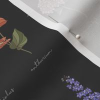 Encyclopedia of flowers / Unique Botanic