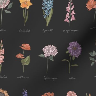 Encyclopedia of flowers / Unique Botanic