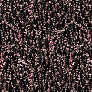 Splendid Blossoms-Black (Small)