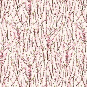 Splendid Blossoms-Blush (Small)