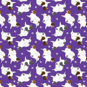 Trotting Phalene and paw prints - purple
