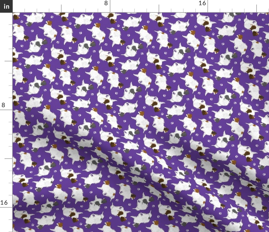 Tiny Trotting Phalene and paw prints - purple