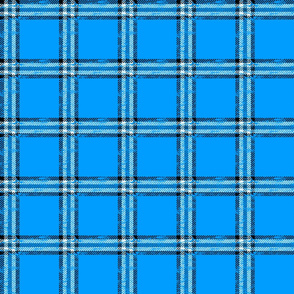 worn checked plaid blue