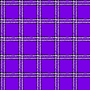 worn checked plaid purple