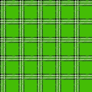 worn checked plaid green